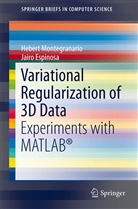Jairo Espinosa, Heber Montegranario, Hebert Montegranario - Variational Regularization of 3D Data
