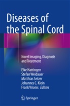 Elke Hattingen, Johannes C. Klein, Matthias Setzer, Matthias Setzer et al, Frank Vrionis, Stefa Weidauer... - Diseases of the Spinal Cord