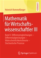 Heinrich Rommelfanger - Mathematik für Wirtschaftswissenschaftler III