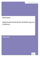 Daniel Anaya - Mathematisch-Statistische Modellierung von Schäumen