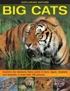 Petra Boase, Rhonda Klevansky, Klevansky Rhonda - Exploring Nature: Big Cats