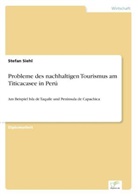 Stefan Siehl - Probleme des nachhaltigen Tourismus am Titicacasee in Perú