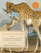 American Museum of Natural History, Tom Baione, Tom Baione - Natural Histories