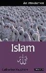 Catharina Raudvere, Catharina Raudvere - Islam