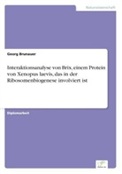 Georg Brunauer - Interaktionsanalyse von Brix, einem Protein von Xenopus laevis, das in der Ribosomenbiogenese involviert ist