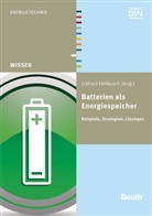 Fahlbusc _Eckhard, Eckhar Fahlbusch, Eckhard Fahlbusch - Batterien als Energiespeicher