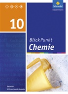 Dieter Frühauf, Hans Tegen - Blickpunkt Chemie, Ausgabe 2013 Sachsen: Blickpunkt Chemie - Ausgabe 2013 für Sachsen