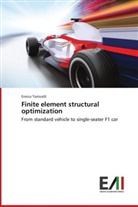 Enrico Torricelli - Finite element structural optimization