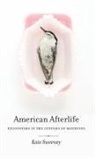 Kate Sweeney - American Afterlife