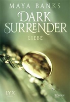 Maya Banks - Dark Surrender - Liebe