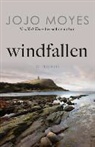 Jojo Moyes - Windfallen