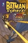 Christopher Jones, Bill Matheny - The Batman Is on Fire! 8