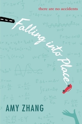 Amy Zhang - Falling Into Place