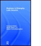 Fernando Robles, Fernando (George Washington University Robles, Fernando Torres-Baumgarten Robles, Fernando Wiese Robles, Robles Fernando, Gladys Torres Baumgarten... - Business in Emerging Latin America
