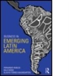 Fernando Robles, Fernando (George Washington University Robles, Fernando Torres-Baumgarten Robles, Fernando Wiese Robles, Fernando/ Wiese Robles, Robles Fernando... - Business in Emerging Latin America