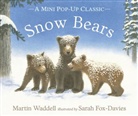 Martin Waddell, Sarah Fox-Davies - Snow Bears