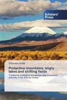 Sébastien Boillat - Protective mountains, angry lakes and shifting fields