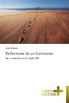 Julián Mellado - Reflexiones de un Caminante