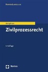 Jens Adolphsen - Zivilprozessrecht