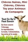 Elliott Lang - Chèvres naines, mini chèvres, chèvre toy pour animaux de compagnie.