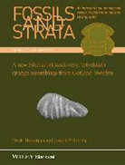 J. P. Botting, Joseph Botting, Joseph Rhebergen Botting, F Rhebergen, F. Rhebergen, F. Botting Rhebergen... - New Silurian Llandovery, Telychian Sponge Assemblage From Gotland,