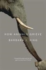 Barbara J. King - How Animals Grieve