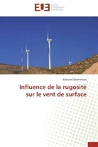 Edouard Dautrevaux, Dautrevaux-e - Influence de la rugosite sur le