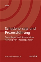 Philipp Fidler - Schadenersatz und Prozessführung