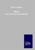 Heinrich Federer - Pilatus