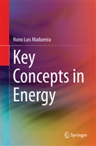 Nuno Fernandes, Nuno Luis Madureira - Key Concepts in Energy