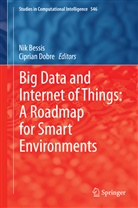 Ni Bessis, Nik Bessis, Dobre, Dobre, Ciprian Dobre - Big Data and Internet of Things: A Roadmap for Smart Environments