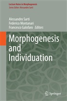 Francesco Galofaro, Federic Montanari, Federico Montanari, Alessandro Sarti - Morphogenesis and Individuation