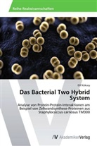 Elif Köksoy - Das Bacterial Two Hybrid System