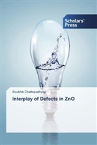 Soubhik Chattopadhyay - Interplay of Defects in ZnO