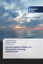 Ezechukw Awgu, Ezechukwu Awgu, Chris Coryn, Stephe Magura, Stephen Magura - Social Capital's Effect on Depression Among Adolescents