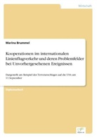 Marina Brummel - Kooperationen im internationalen Linienflugverkehr und deren Problemfelder bei Unvorhergesehenen Ereignissen