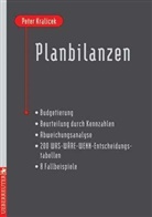Peter Kralicek - Planbilanzen