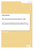 Armin Kammel - Die Zwischenberichtsrichtlinie 1982