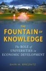 Shiri Breznitz, Shiri M Breznitz, Shiri M. Breznitz - Fountain of Knowledge