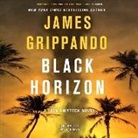 James Grippando, Jonathan Davis - Black Horizon (Hörbuch)