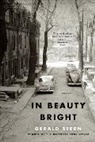 Gerald Stern - In Beauty Bright