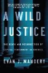 Evan J. Mandery - A Wild Justice: The Death and Resurrection of Capital Punishment in America