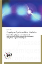 Jérôme Luc, Luc-j - Physique-optique non lineaire