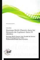 Zahia Bidai, Bidai-z - Routage multi chemin dans les