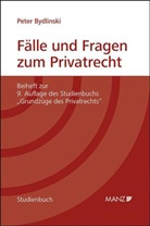 Peter Bydlinski - Fälle und Fragen zum Privatrecht (f. Österreich)