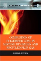 Dobrin Toporov, Dobrin (Deputy Head of the Gasification Department at the Gas Technologies Division Toporov, Dobrin D. Toporov, Toporov Dobrin - Combustion of Pulverised Coal in a Mixture of Oxygen and Recycled