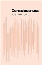 J Weisberg, Josh Weisberg - Consciousness