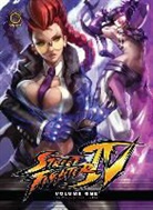 Jim Zubkavich, Ken Siu-Chong, Takeshi Miyazawa, Ken Siu-Chong, Jim Zubkavich, Joe Ng - Street Fighter IV Volume 1: Wages of Sin