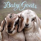 Editors of Race Point Publishing, Race Point Publishing, Racepoint Publishing, Race Point Publishing - Baby Goats