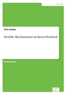 Dirk Schäfer - Flexible Mechanismen im Kyoto-Protokoll